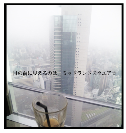 20090706.jpg