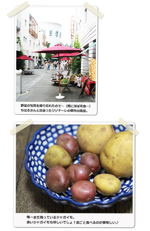 20090829-3.jpg